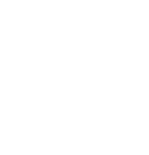 LinkedIn Icon